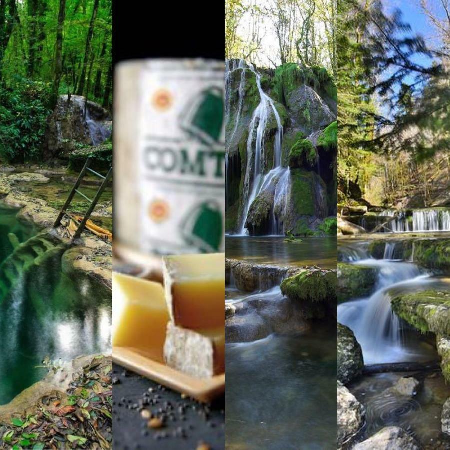 Gite Des Lacs Jumeaux Clairvaux-les-Lacs Zewnętrze zdjęcie